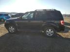 2012 FORD ESCAPE XLT   for sale at Copart AB - EDMONTON