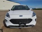 2020 FORD ESCAPE SE   for sale at Copart AB - CALGARY