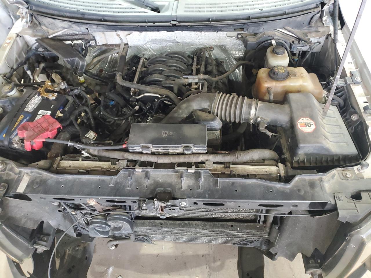 2011 Ford F150 Supercrew VIN: 1FTFW1EF6BKD60487 Lot: 69956625