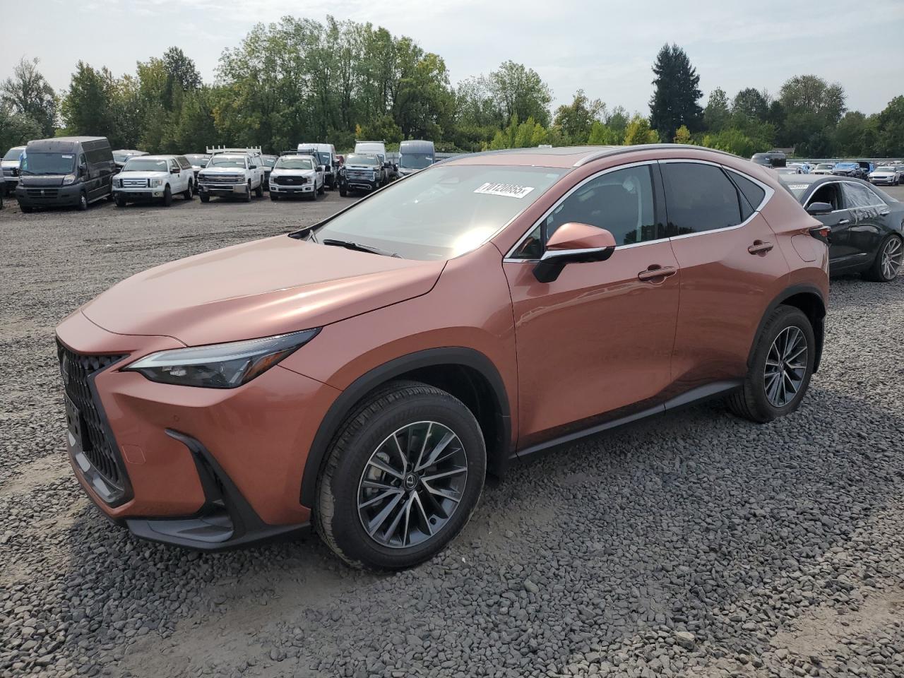 2025 Lexus Nx 350H Base