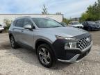 2021 HYUNDAI SANTA FE SEL   à vendre chez Copart QC - MONTREAL