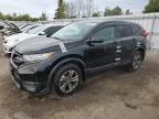 2017 HONDA CR-V LX   à vendre chez Copart ON - TORONTO