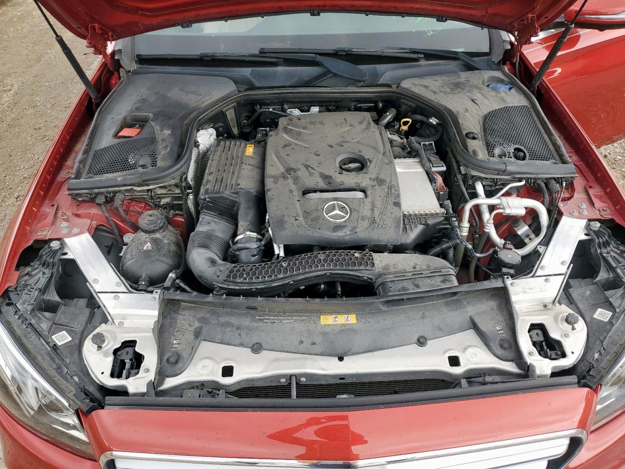 V (W213, S213, C238) V (W213, S213, C238)