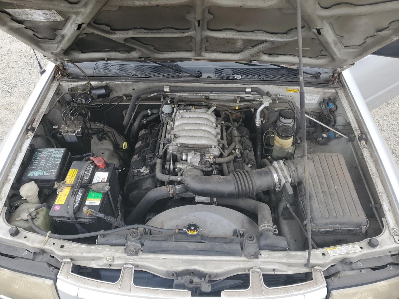 1998 Isuzu Rodeo S VIN: 4S2CM58W5W4353282 Lot: 67462155