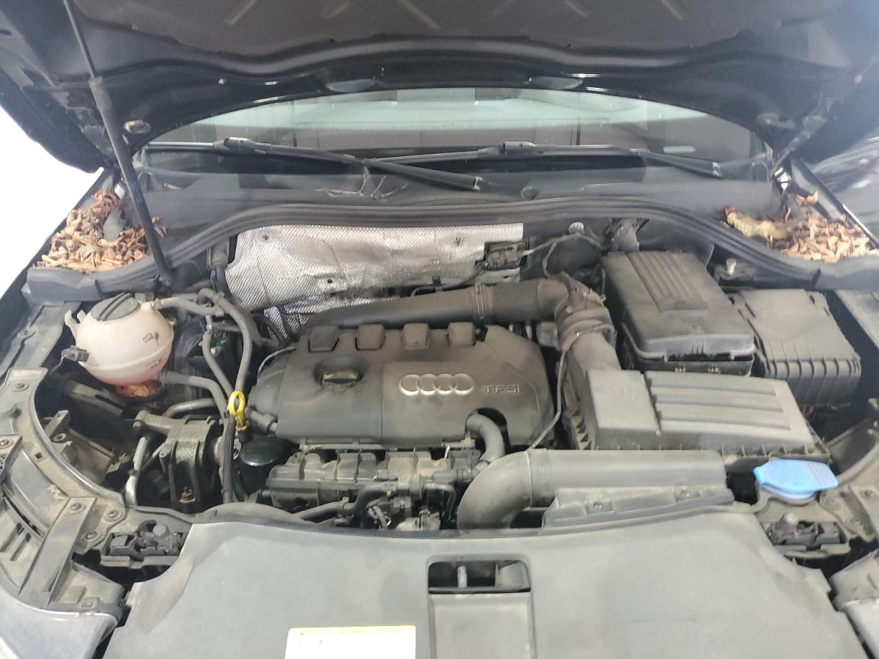 2015 Audi Q3 Premium Plus VIN: WA1EFEFS1FR000582 Lot: 70101265