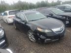 2012 ACURA TL    for sale at Copart ON - COOKSTOWN