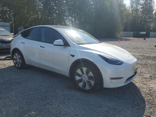  TESLA MODEL Y 2023 White