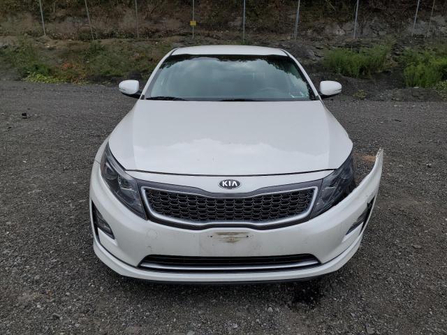  KIA OPTIMA 2016 Biały