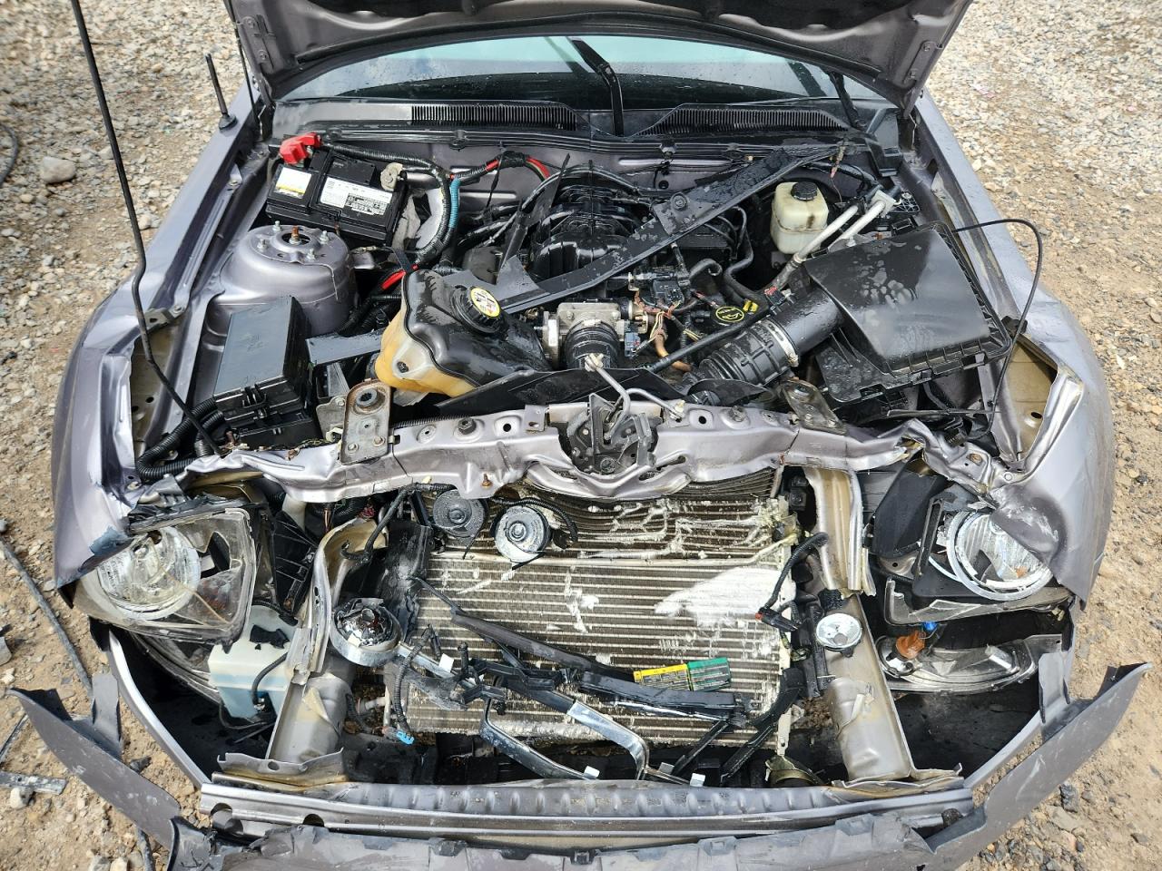 2007 Ford Mustang VIN: 1ZVFT80N975214801 Lot: 70786185