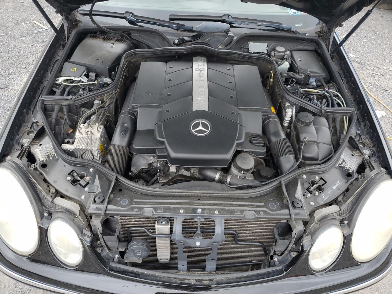 2003 Mercedes-Benz E 500 VIN: WDBUF70JX3A304936 Lot: 65901175