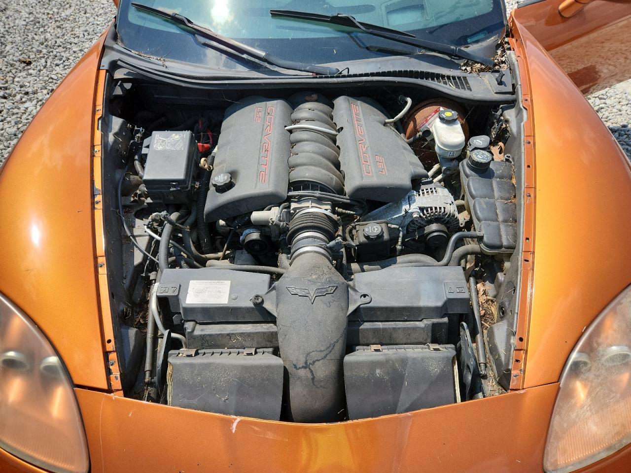 2007 Chevrolet Corvette VIN: 1G1YY36U775138342 Lot: 69140905