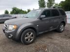 2011 FORD ESCAPE XLT   à vendre chez Copart ON - LONDON