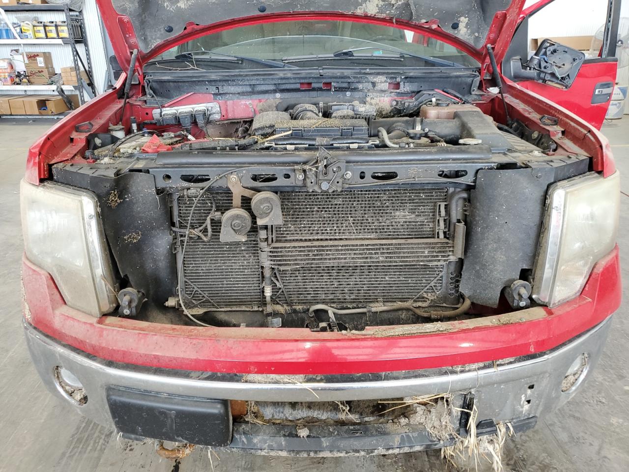 2010 Ford F150 Super Cab VIN: 1FTFX1EV4AKE32001 Lot: 70025515