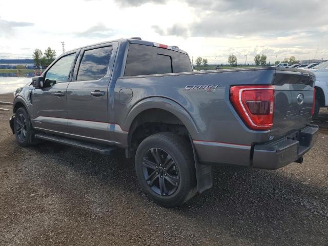  FORD F-150 2023 Szary