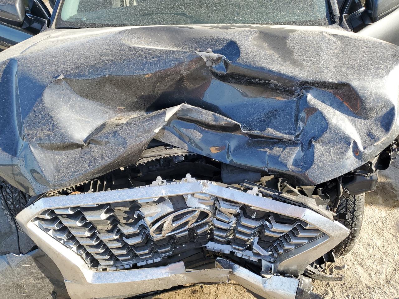 2020 Hyundai Palisade Sel VIN: KM8R24HE7LU128981 Lot: 69964495