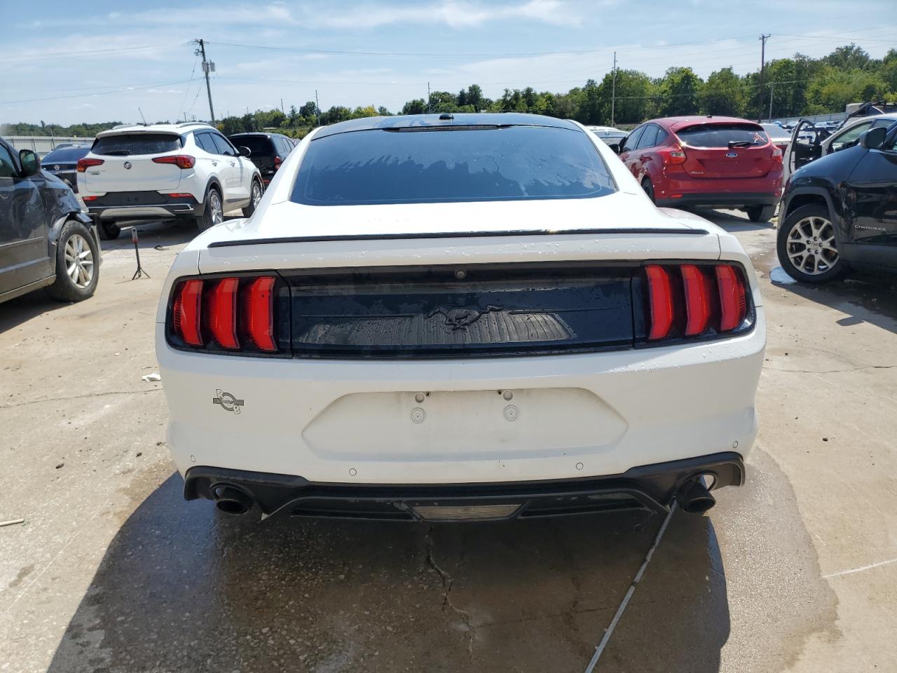 2019 Ford Mustang VIN: 1FA6P8TH2K5191289 Lot: 68567225
