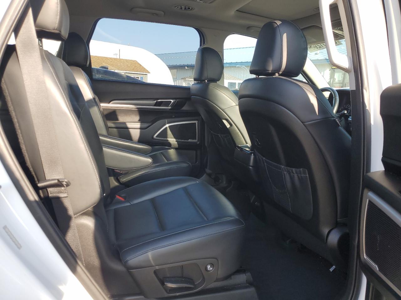 2020 Kia Telluride S VIN: 5XYP6DHCXLG023819 Lot: 67951205