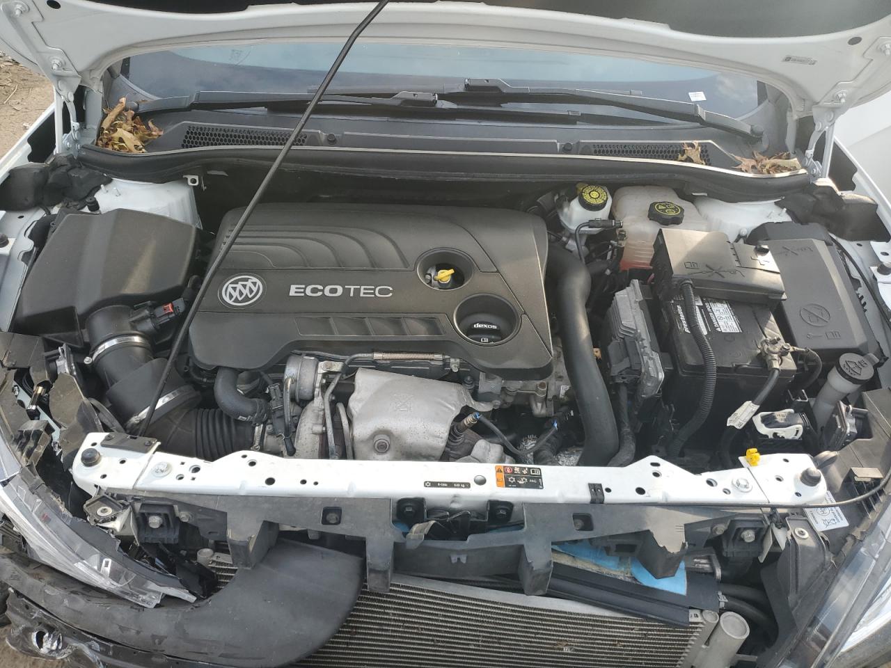 2019 Buick Cascada Premium VIN: W04WH3N54KG351121 Lot: 70889195