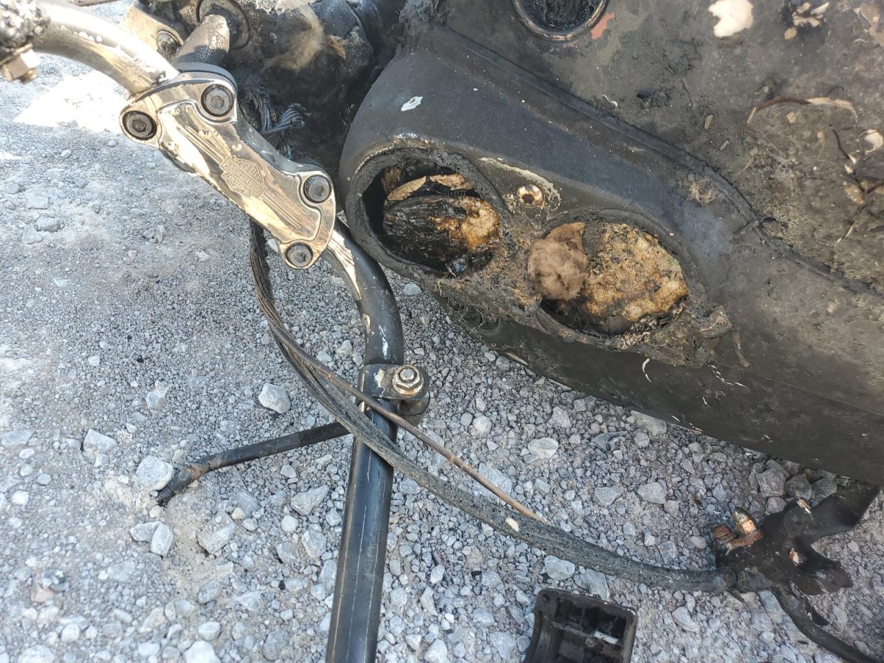 2005 Harley-Davidson Fxdli VIN: 1HD1GNW135K332795 Lot: 68656475