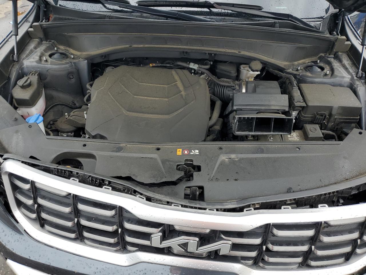 2024 Kia Telluride Sx VIN: 5XYP5DGC0RG426348 Lot: 67683305