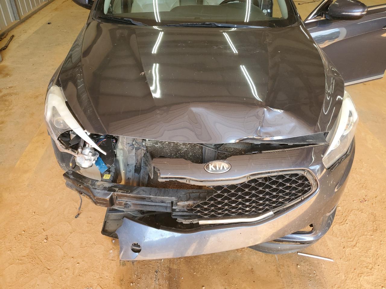 2015 Kia Cadenza Premium VIN: KNALN4D73F5171752 Lot: 69734225