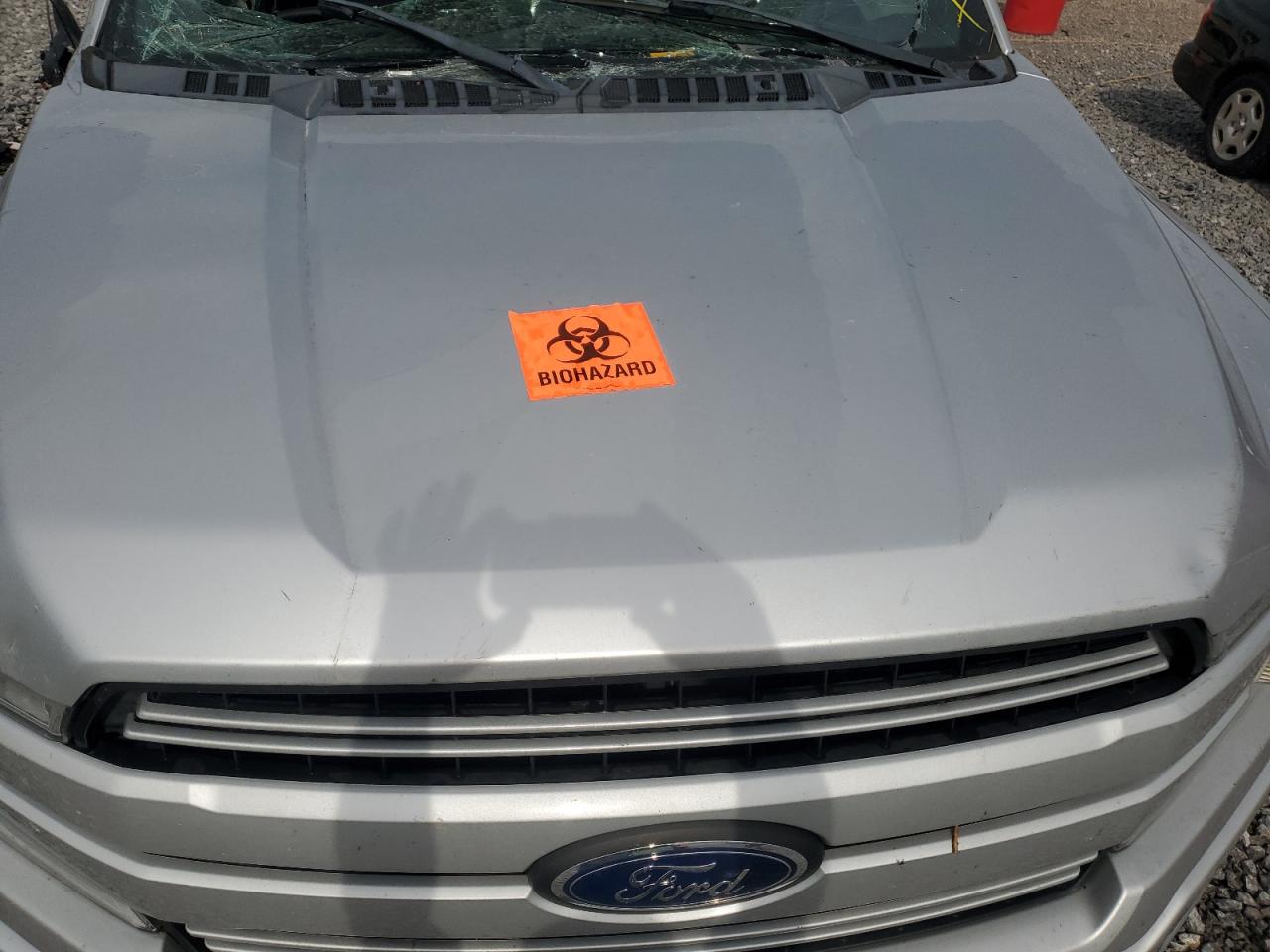 2019 Ford F150 Supercrew VIN: 1FTEW1E45KFB88195 Lot: 70554255