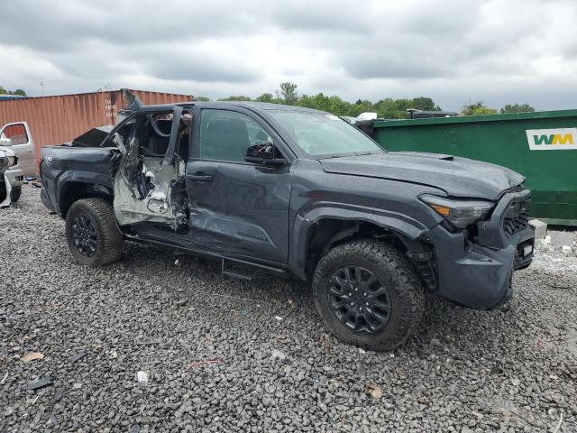  TOYOTA TACOMA 2024 Gray