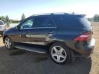 2014 MERCEDES-BENZ ML 550 4MATIC   for sale at Copart AB - CALGARY