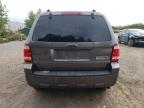 2009 FORD ESCAPE XLT   à vendre chez Copart ON - LONDON