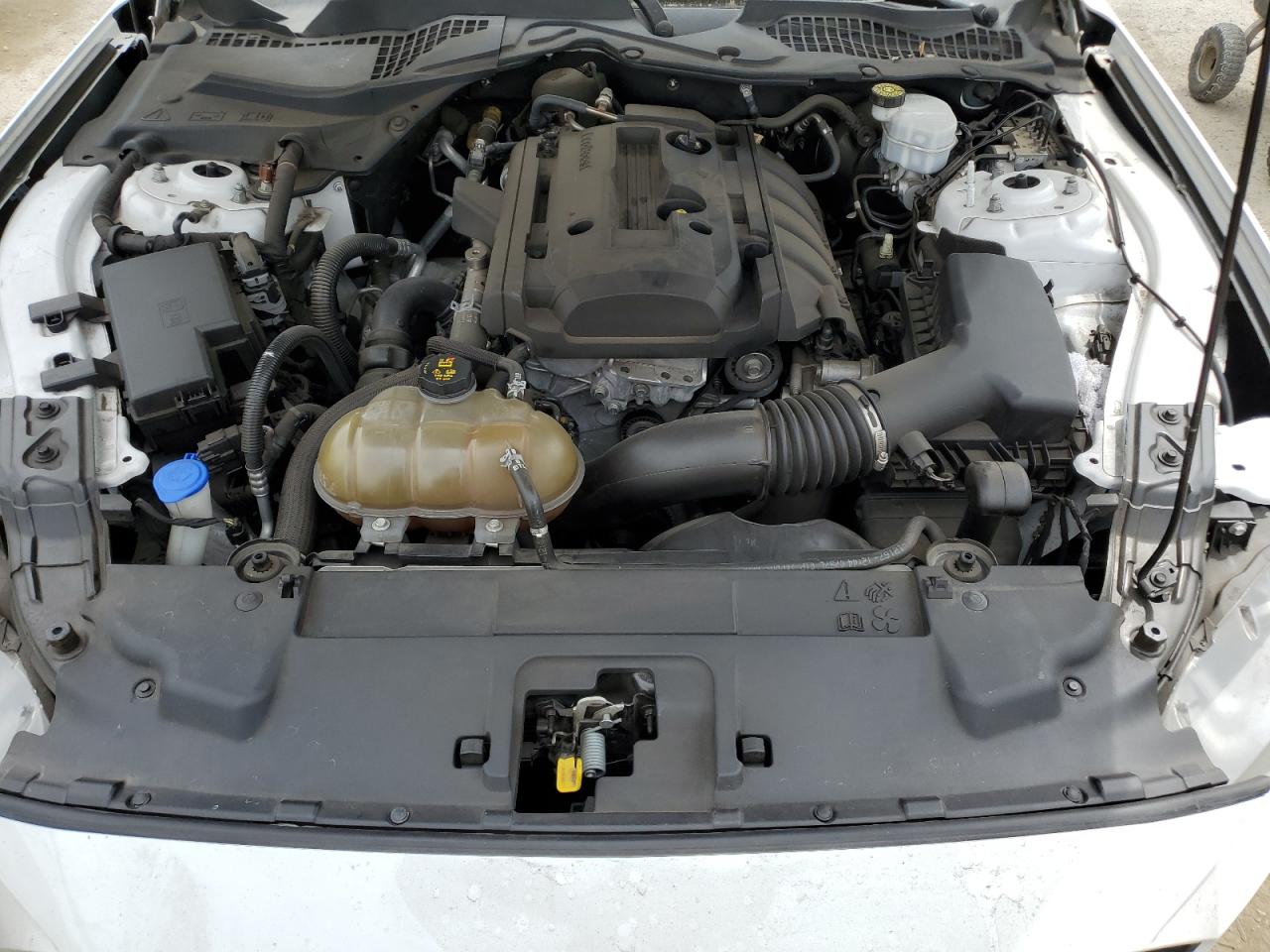 2020 Ford Mustang VIN: 1FA6P8TH7L5134880 Lot: 70806095