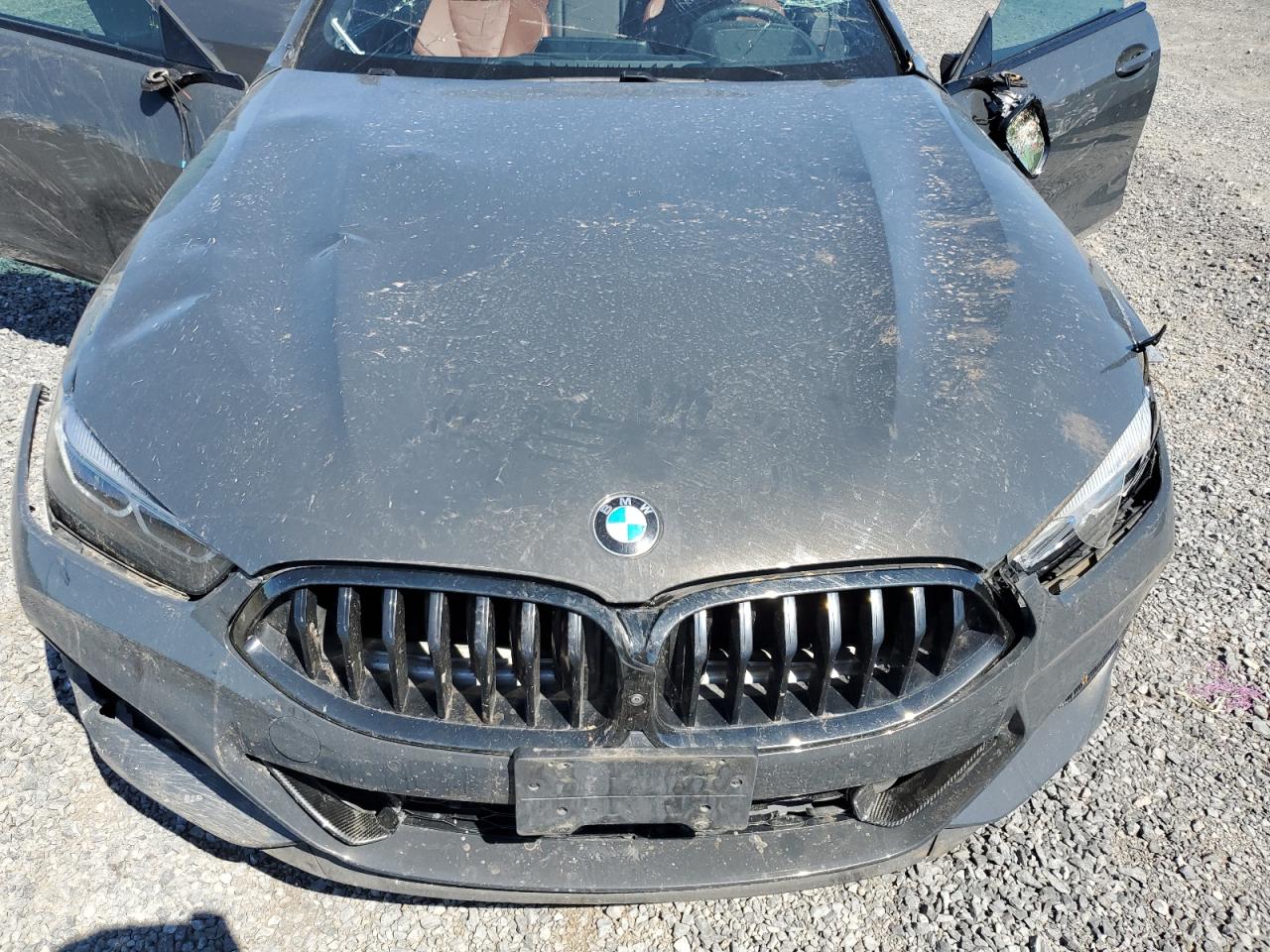 2020 BMW M850Xi VIN: WBAGV8C0XLCD28247 Lot: 69553345