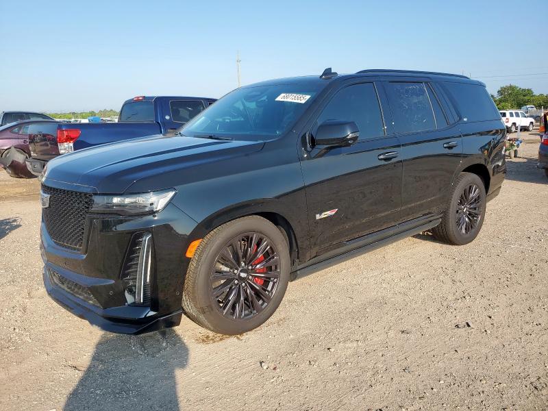 2024 CADILLAC ESCALADE V    à vendre chez Copart TX - HOUSTON EAST