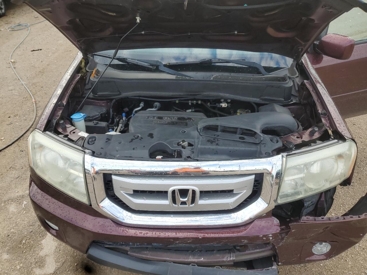 2011 Honda Pilot Exl VIN: 5FNYF4H50BB069364 Lot: 70526965