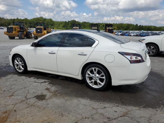 NISSAN MAXIMA 2012 White