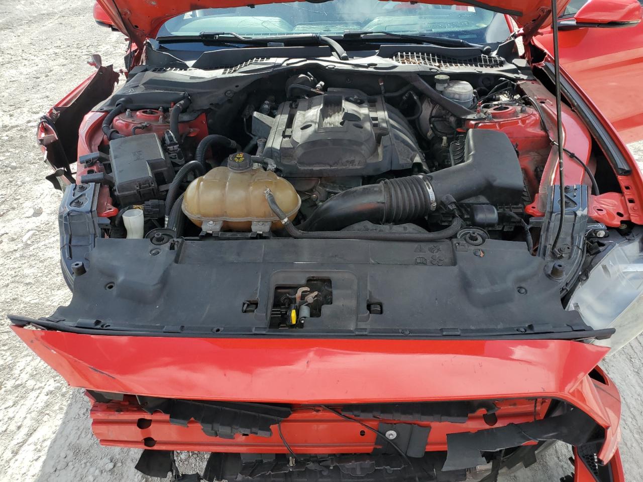 2019 Ford Mustang VIN: 1FATP8UH5K5171197 Lot: 67572785