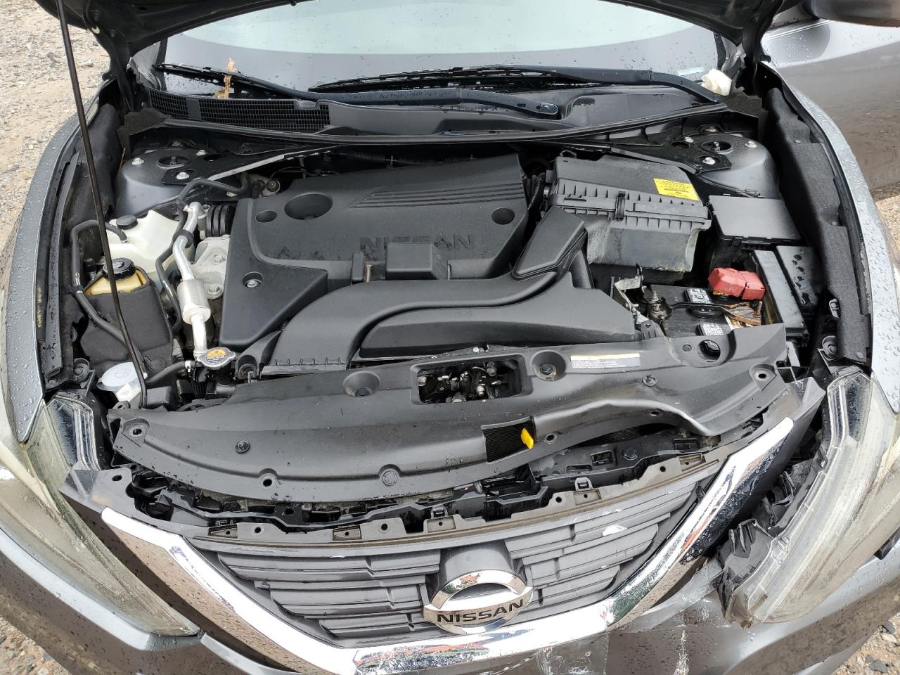 2016 Nissan Altima 2.5 VIN: 1N4AL3AP9GC281447 Lot: 67525945