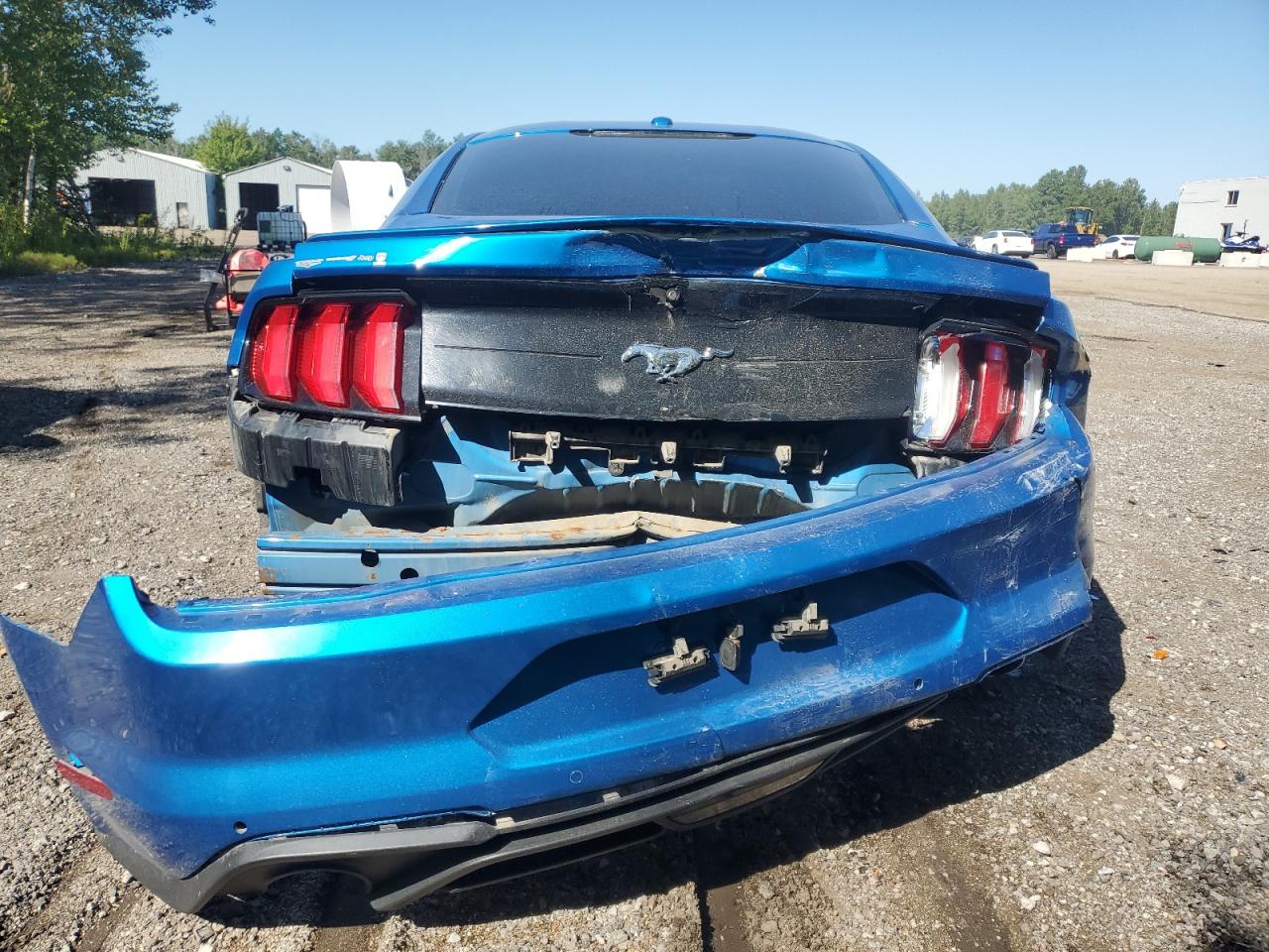 2019 Ford Mustang VIN: 1FA6P8TH9K5175977 Lot: 70029395