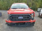 2023 FORD F150    for sale at Copart ON - COOKSTOWN