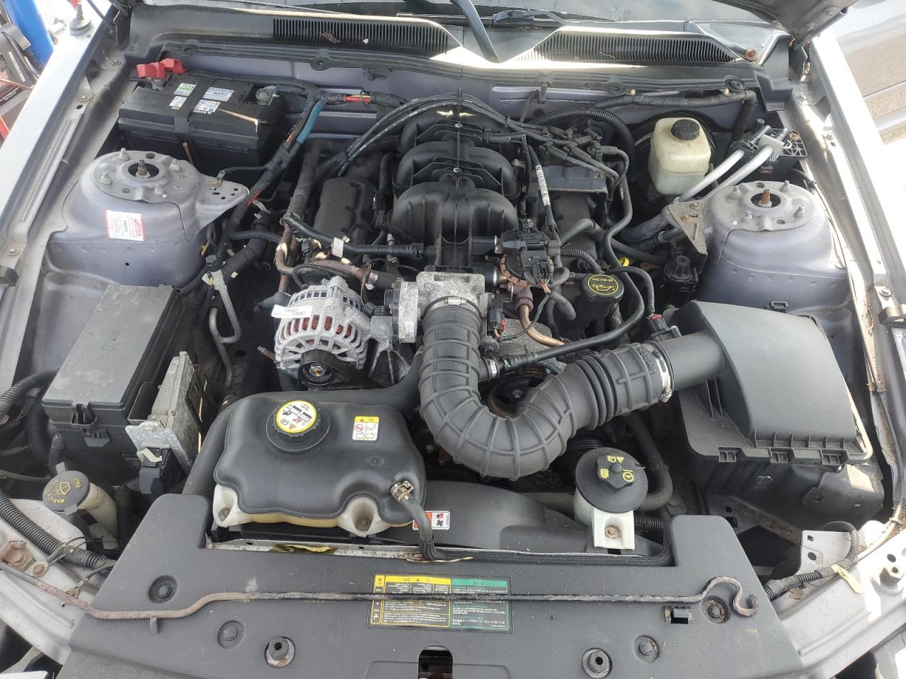 2006 Ford Mustang VIN: 1ZVFT84N765209976 Lot: 70041745