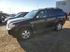 2012 FORD ESCAPE XLT   for sale at Copart AB - EDMONTON