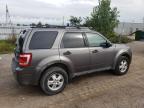 2009 FORD ESCAPE XLT   à vendre chez Copart ON - LONDON