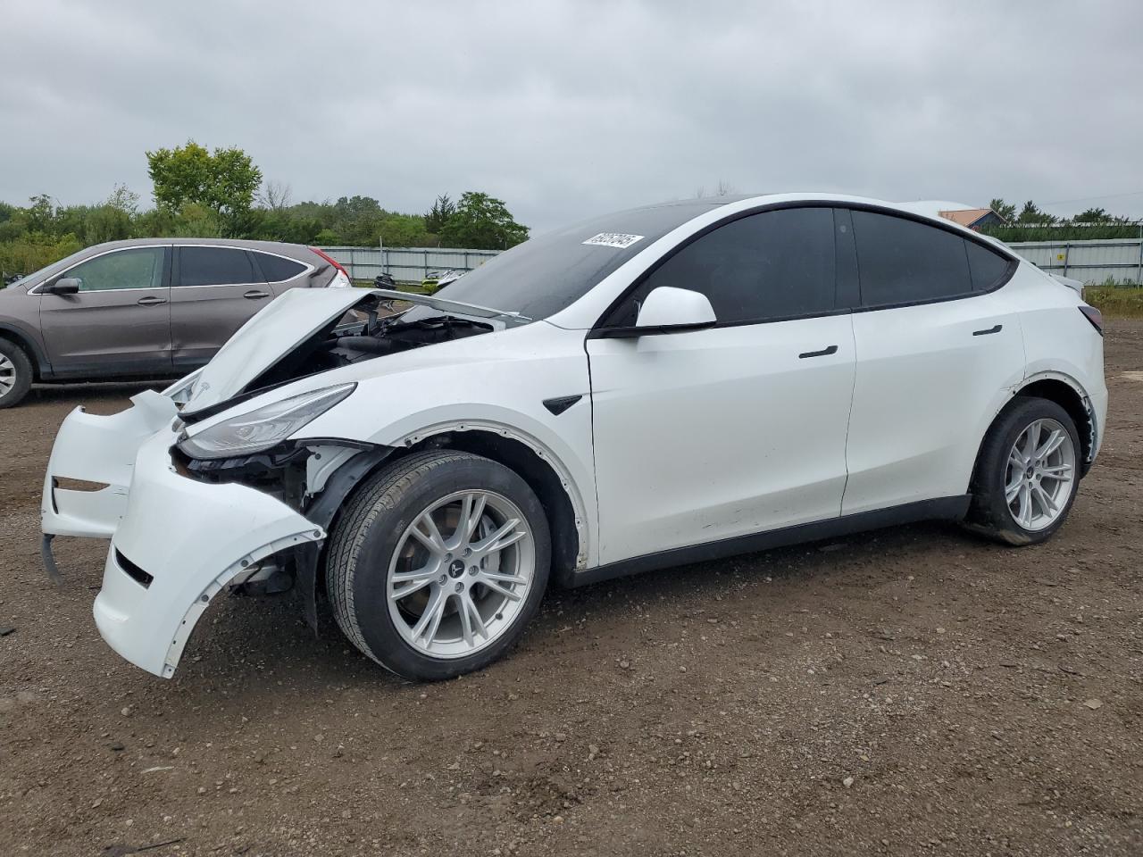 2023 Tesla Model Y white null electric 7SAYGDEE6PA068809 photo #1
