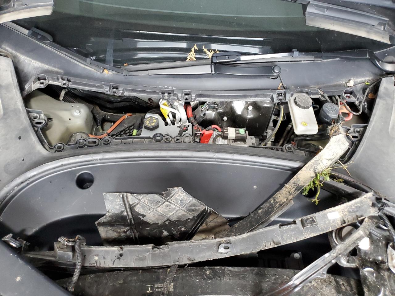 2023 Tesla Model 3 VIN: 5YJ3E1EBXPF624057 Lot: 70634855