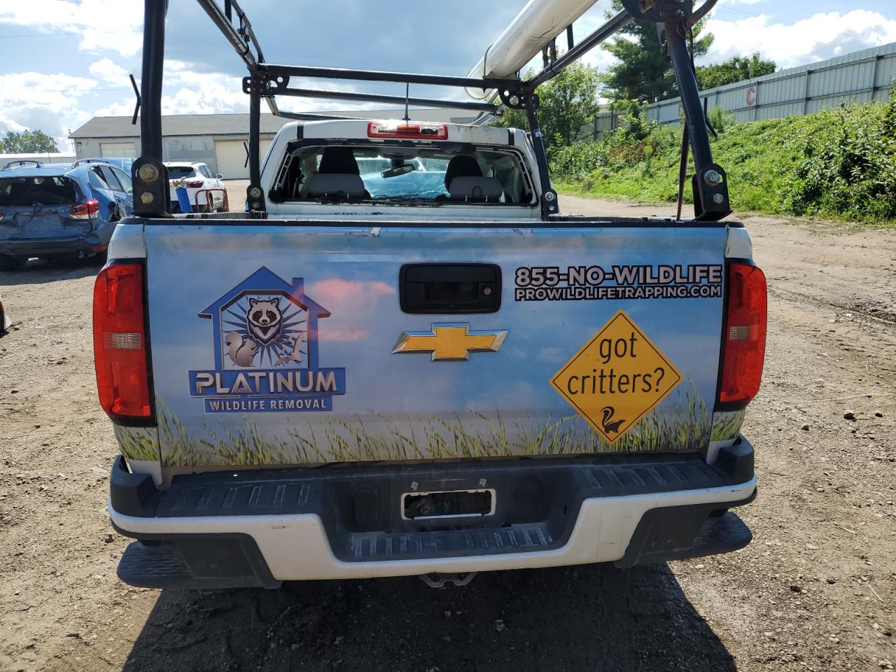 2019 Chevrolet Colorado VIN: 1GCHSBEA7K1350801 Lot: 70360355