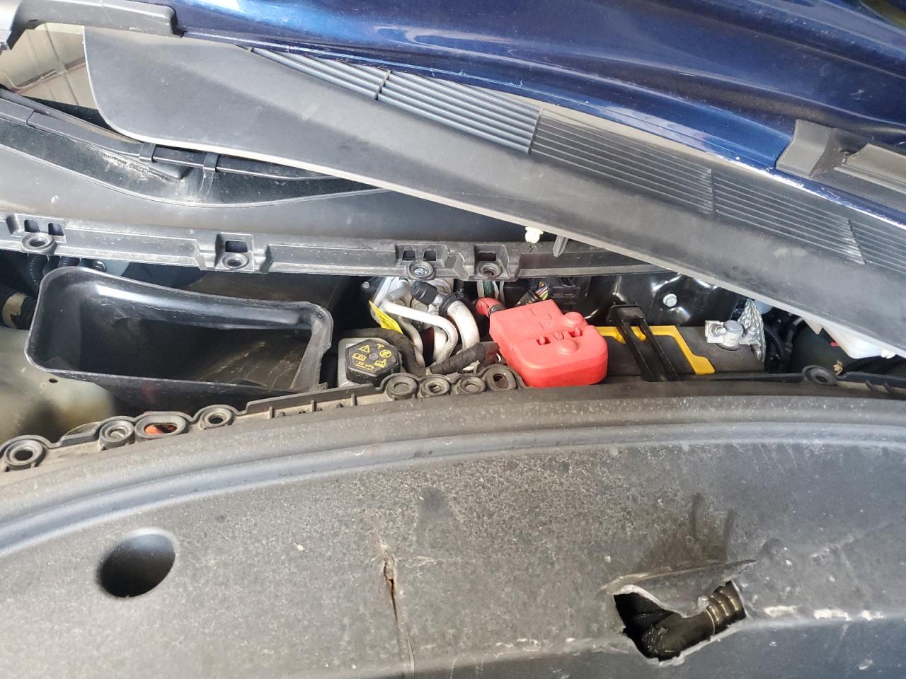 2021 Tesla Model 3 VIN: 5YJ3E1EB7MF978923 Lot: 69285195