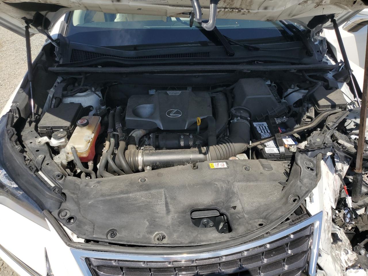 2020 Lexus Nx 300 VIN: JTJGARDZ1L5006872 Lot: 69955875