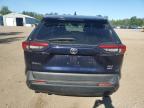 2020 TOYOTA RAV4 XLE   à vendre chez Copart ON - COOKSTOWN