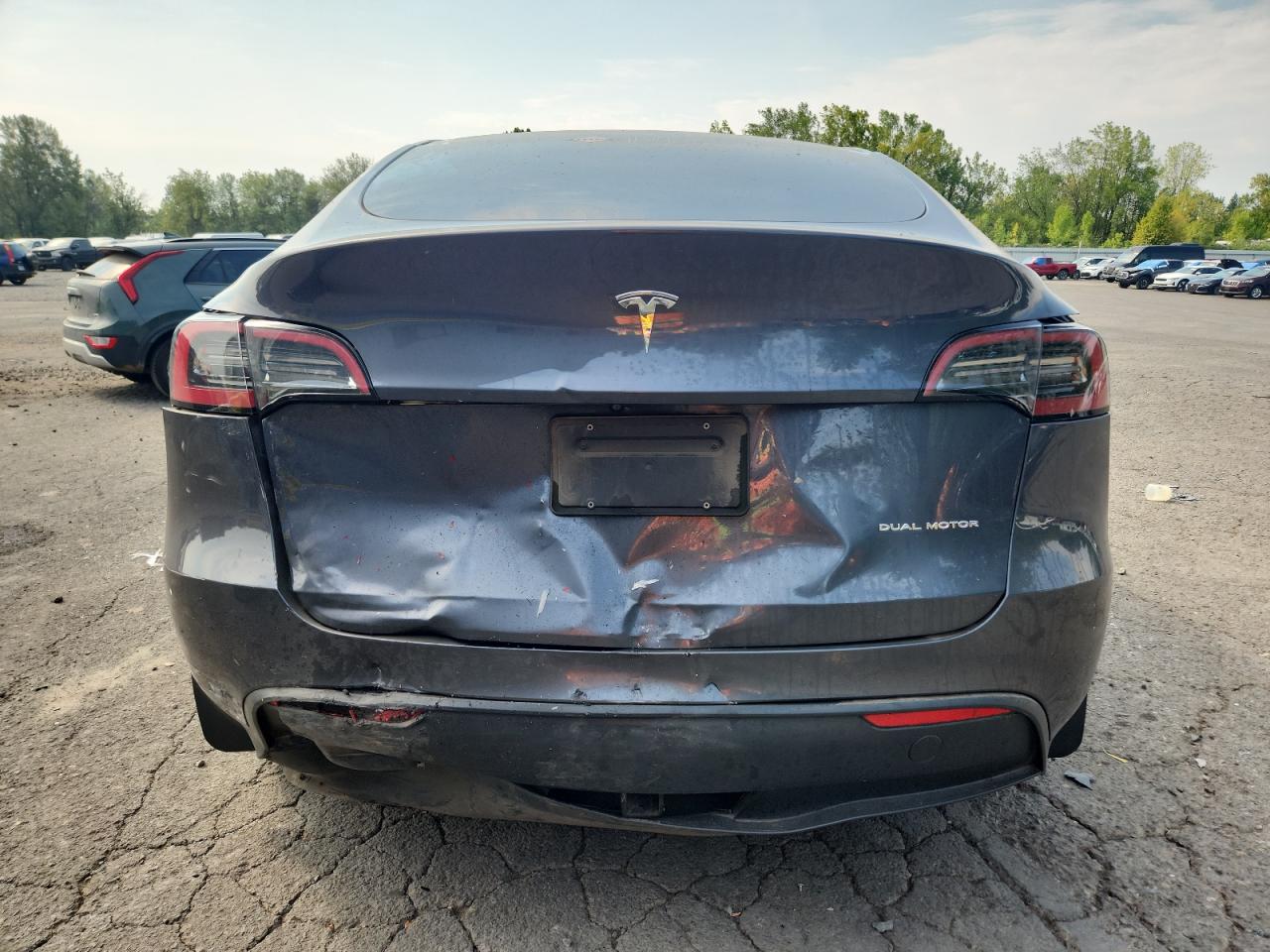 2023 Tesla Model Y VIN: 7SAYGDEE2PF620888 Lot: 70499035