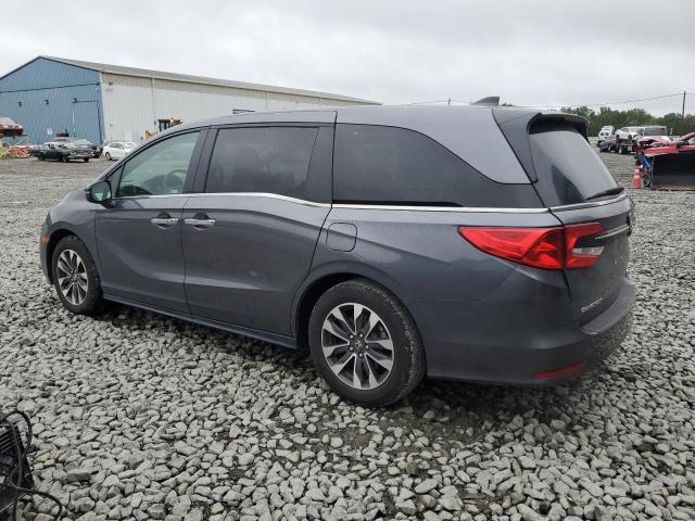  HONDA All Models 2024 Серый