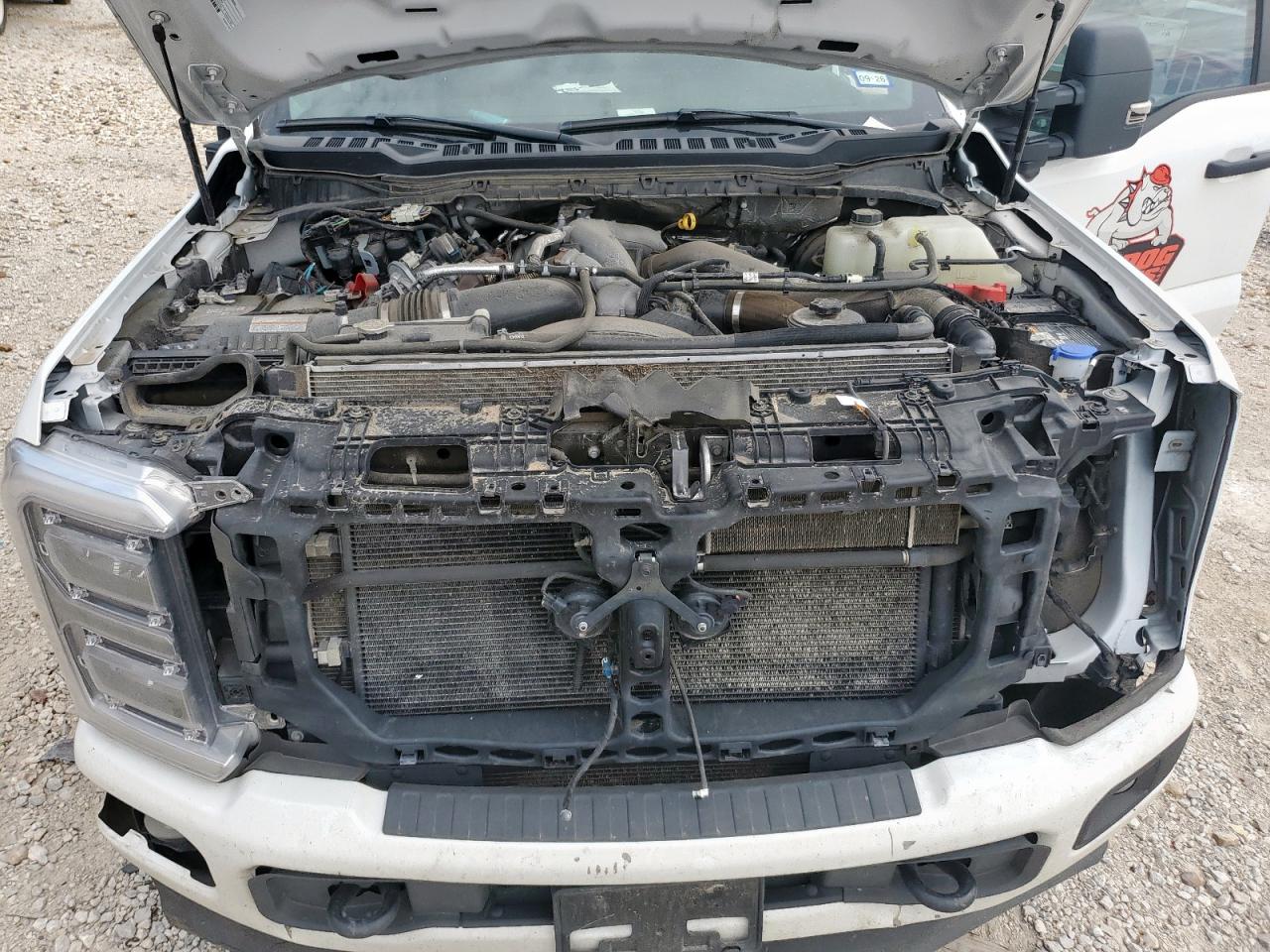 2024 Ford F350 Super Duty VIN: 1FT8W3BT8REE20504 Lot: 66466065